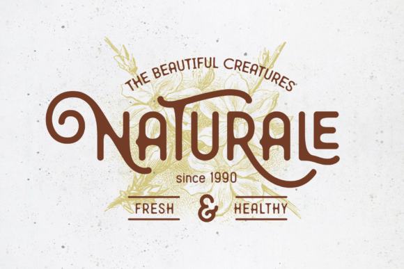Mirandah Family Font PNG with transparent background - Preview 6