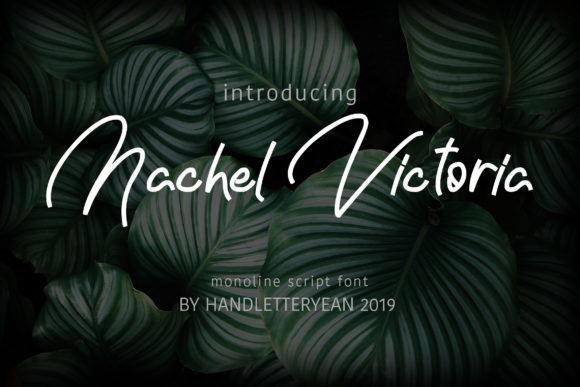 Nachel Victoria Font PNG with transparent background - Preview 2