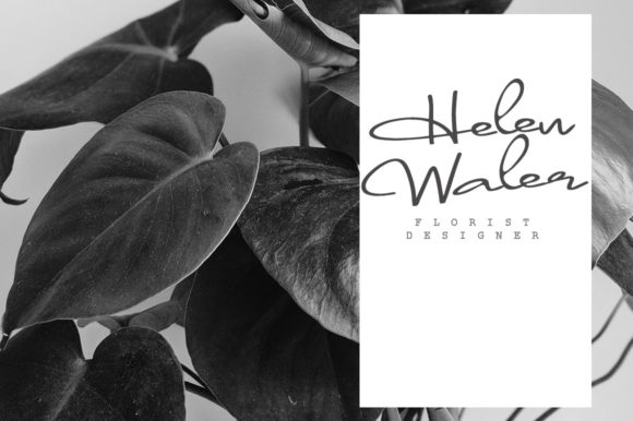 Nolet Font PNG with transparent background - Preview 2