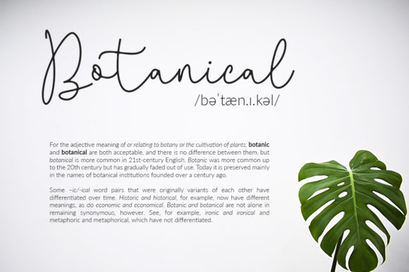 Questa Whitte Script Font PNG with transparent background - Preview 2