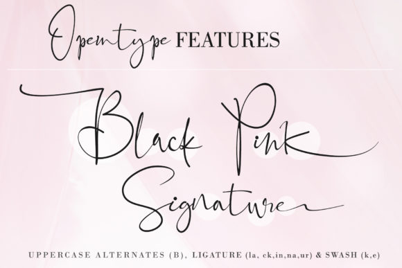 Black Pink Family Font - Preview 3