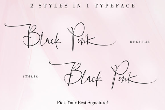 Black Pink Family Font - Preview 4