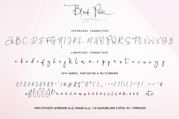 Black Pink Family Font - Preview 5
