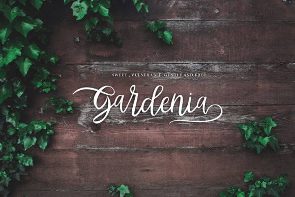 Abhyaksa Font - Preview 4