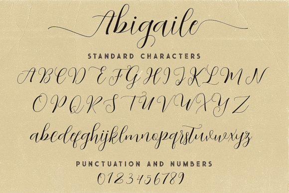 Abigaile Script Font - Preview 5