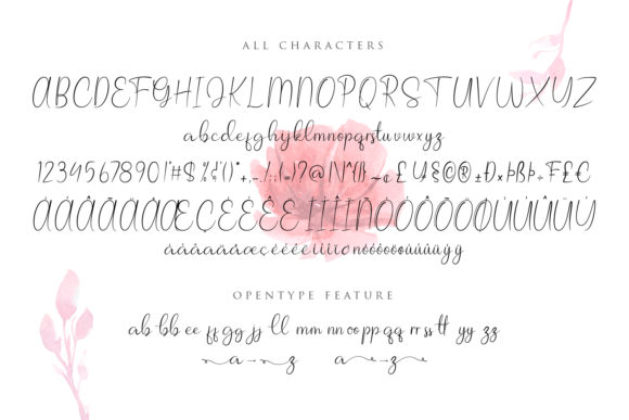 Allagia Font - Preview 4