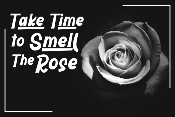 Ametta Camberlyn Font - Preview 3