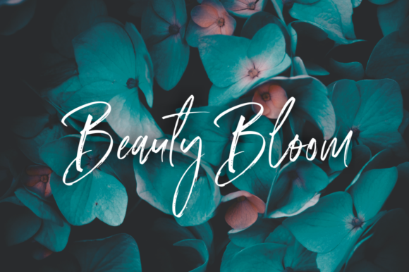 Amouris Font - Preview 5