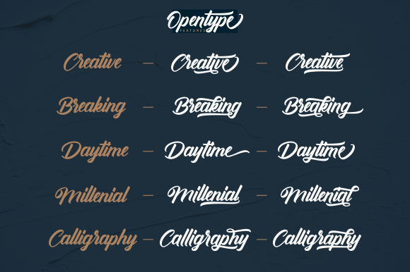 Antonellie Font - Preview 3