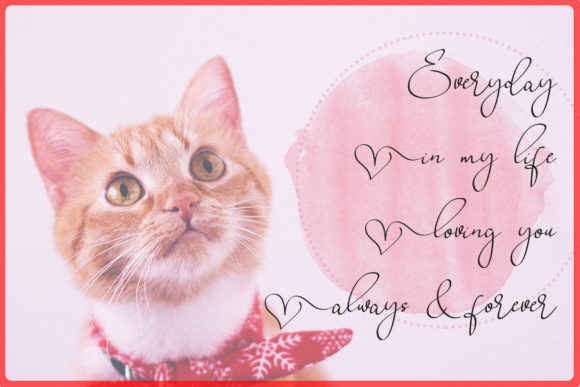 Babes & Bridal Font - Preview 4