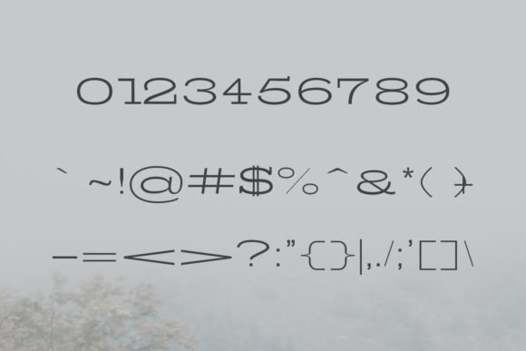 Banquo Family Font - Preview 2