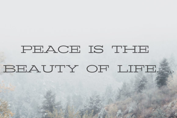 Banquo Family Font - Preview 4