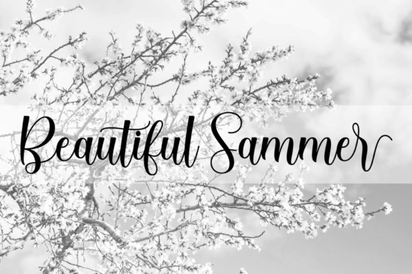 Batavia Script Font - Preview 5