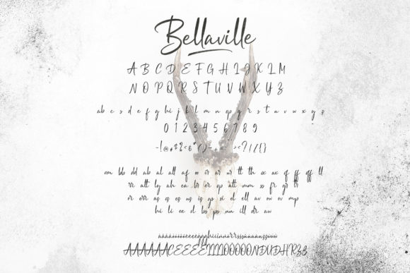 Bellavile Font - Preview 3