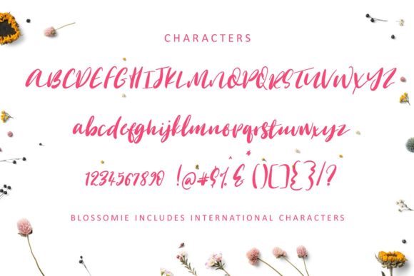 Blossomie Font - Preview 1