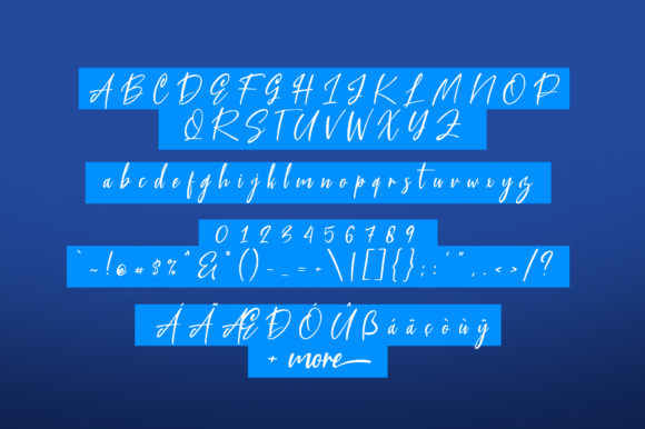 Blue Pen Script Font - Preview 5