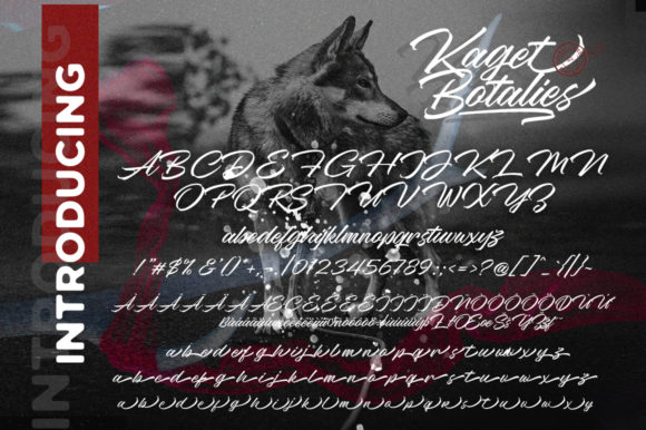 Botalies Kagetan Script Font - Preview 5