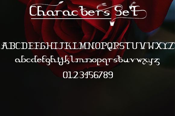 Braxica Lily Font - Preview 1