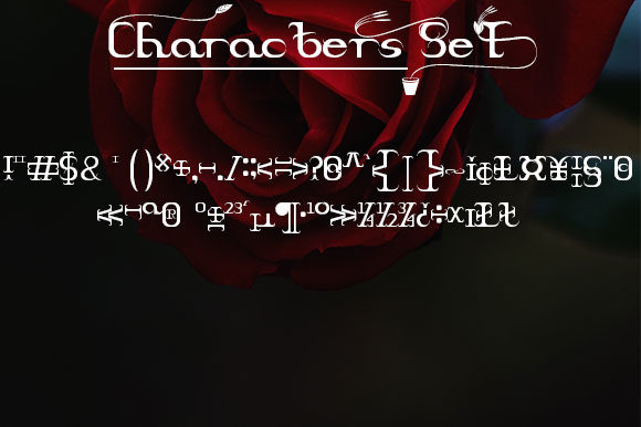 Braxica Lily Font - Preview 3
