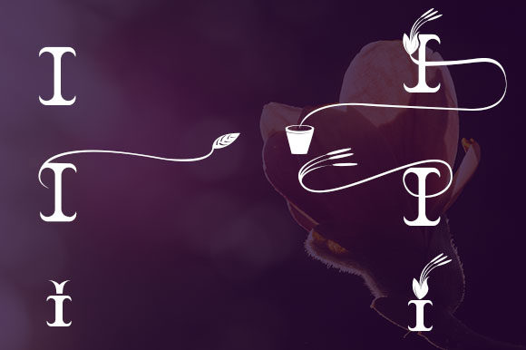 Braxica Lily Font - Preview 4