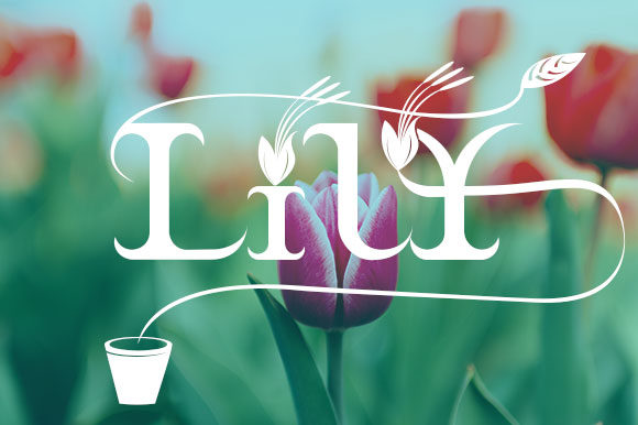Braxica Lily Font - Preview 5