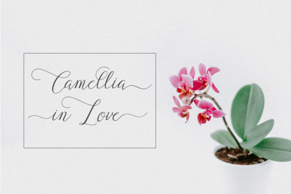 Brigadil Font - Preview 1