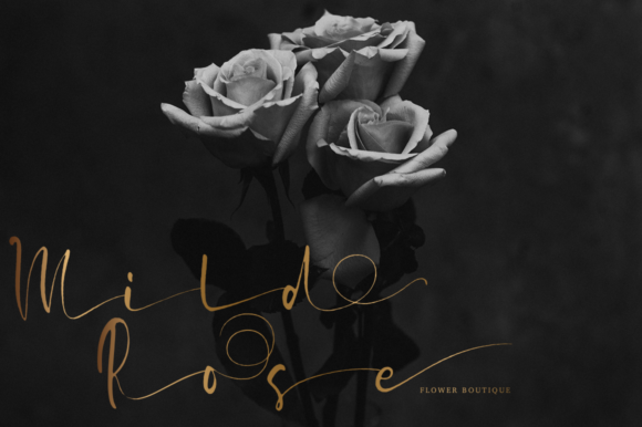 Briosh Font - Preview 6