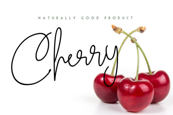 Chesterville Font - Preview 3