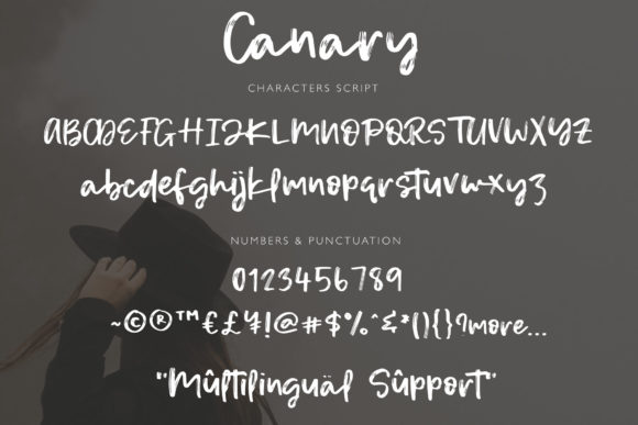 Canary Font - Preview 6
