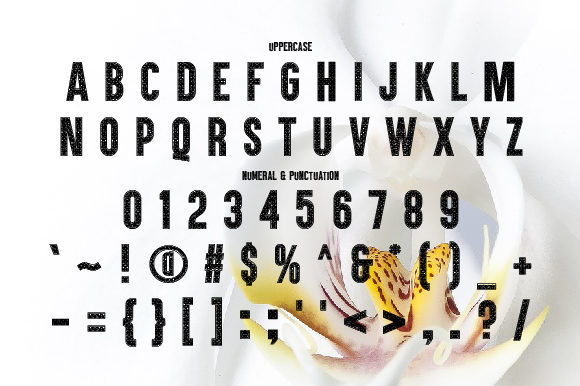 Canthink Font - Preview 1