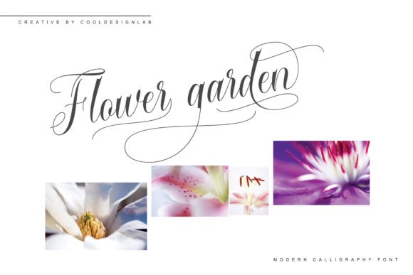 Cataline Script Font - Preview 1