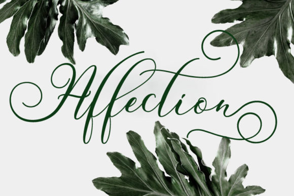 Cattaniya Font - Preview 5