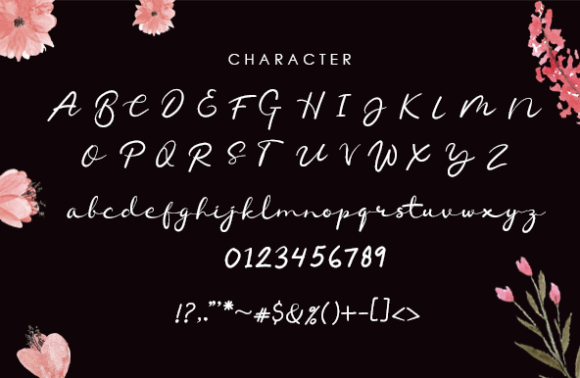 Chamelon Font - Preview 3