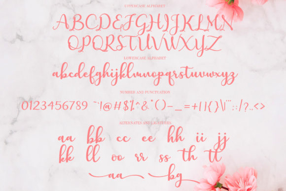 Charlotte Font - Preview 1