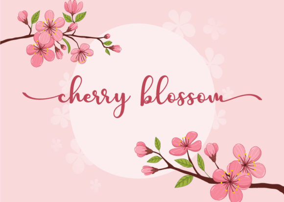 Charlotte Font - Preview 2