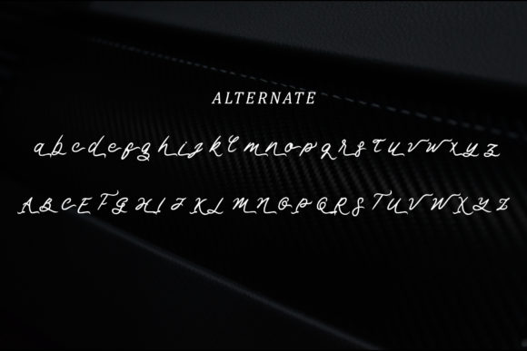 Chinmi Script Font - Preview 6