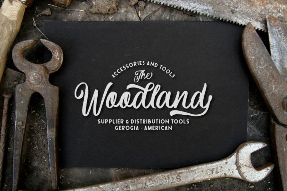 Courtland Font - Preview 3