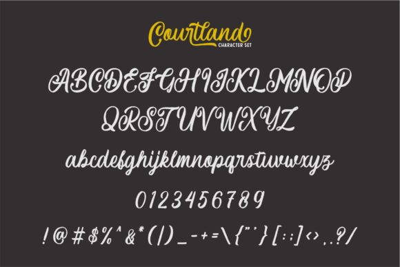 Courtland Font - Preview 6