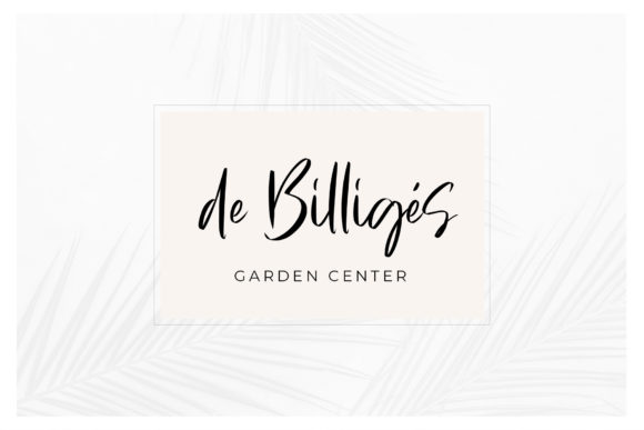 De Califortia Script Font - Preview 2