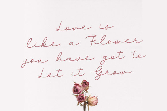 Degres Script Font PNG with transparent background - Preview 1
