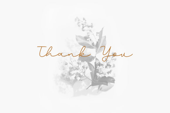 Degres Script Font PNG with transparent background - Preview 4