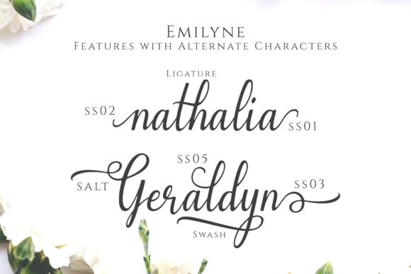 Emilyne Font - Preview 1