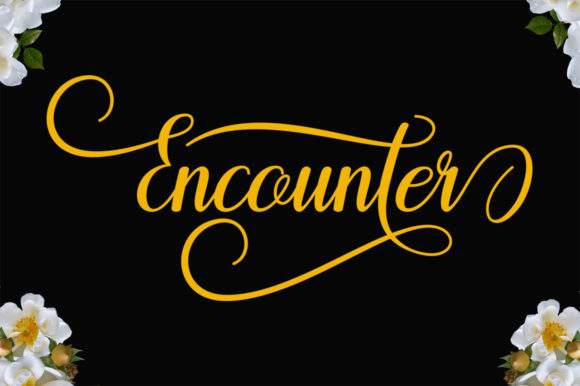 Encounter Font - Preview 5