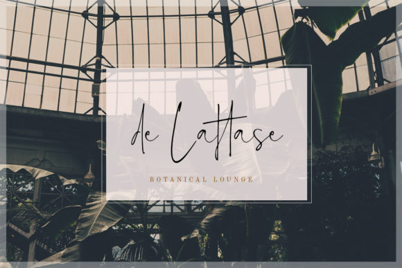 Estelly Font PNG with transparent background - Preview 1
