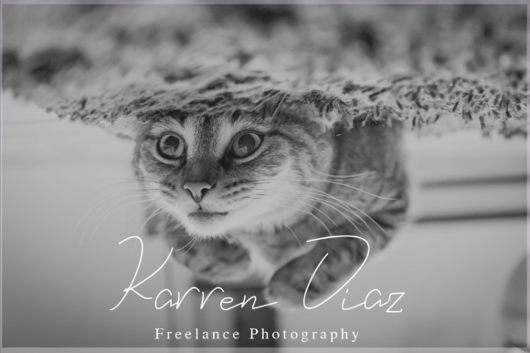 Eveline Cara Font - Preview 2