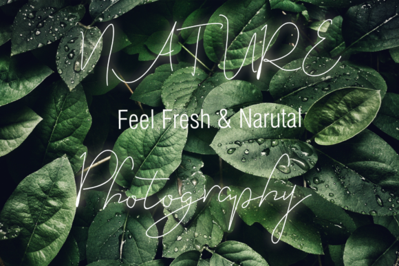 Eveline Cara Font - Preview 5