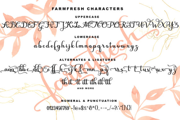 Farmfresh Script Font - Preview 5