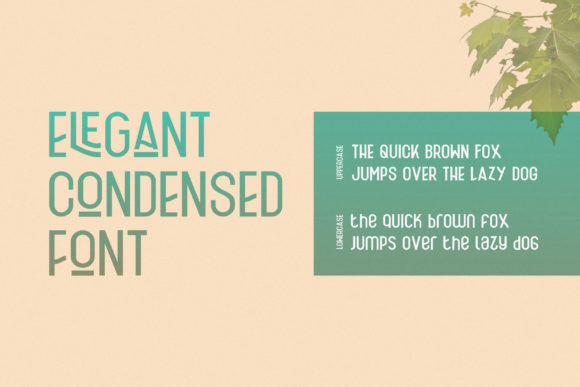 Fischel Family Font - Preview 2