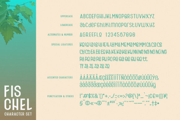 Fischel Family Font - Preview 3