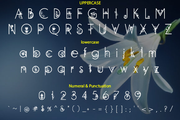 Flowrish Font - Preview 1